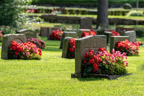 Sun shining on a row of gravestones with red and pink flowers on a beautiful and well cared cemetery